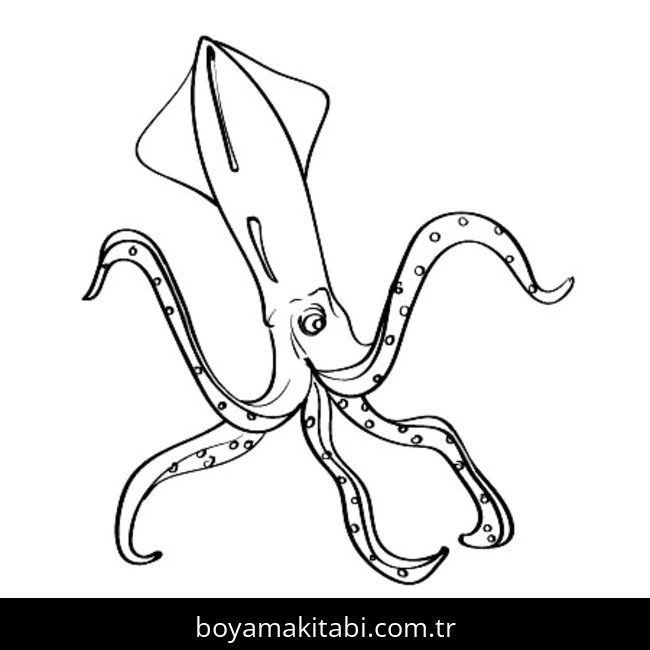 Ahtapot Boyama