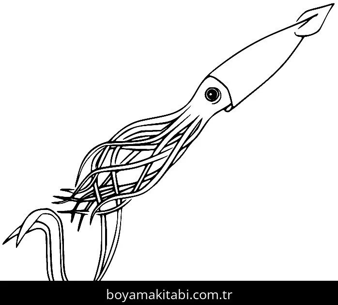 Ahtapot Boyama
