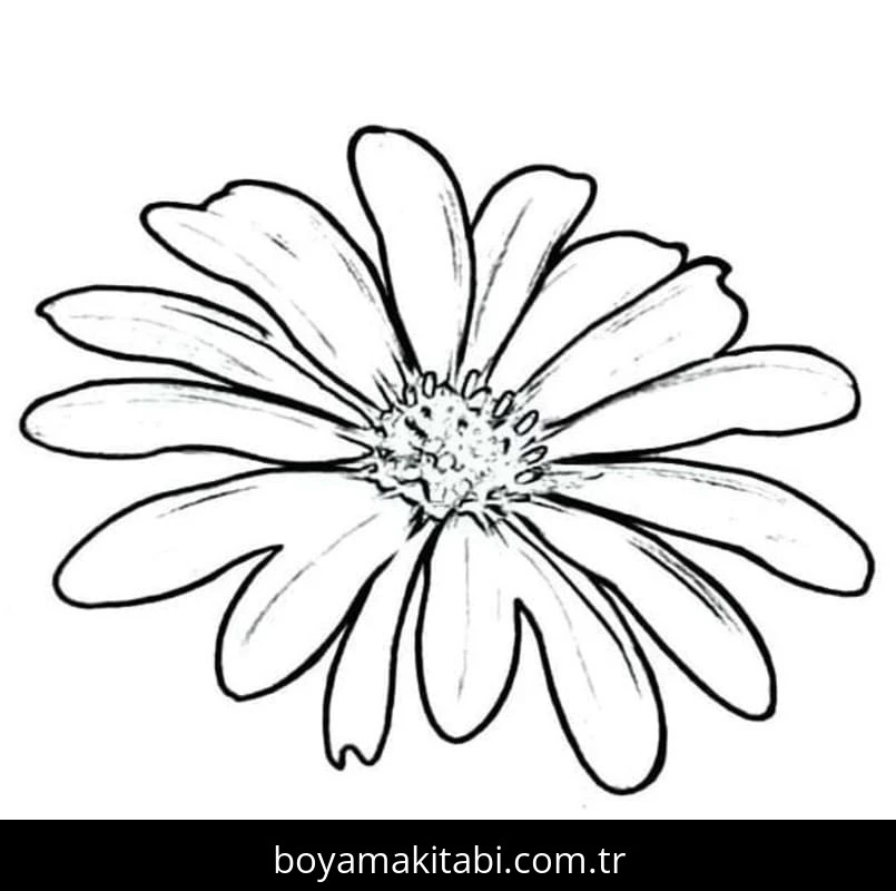 Papatya boyama sayfası – PDF indir, sevimli karakter