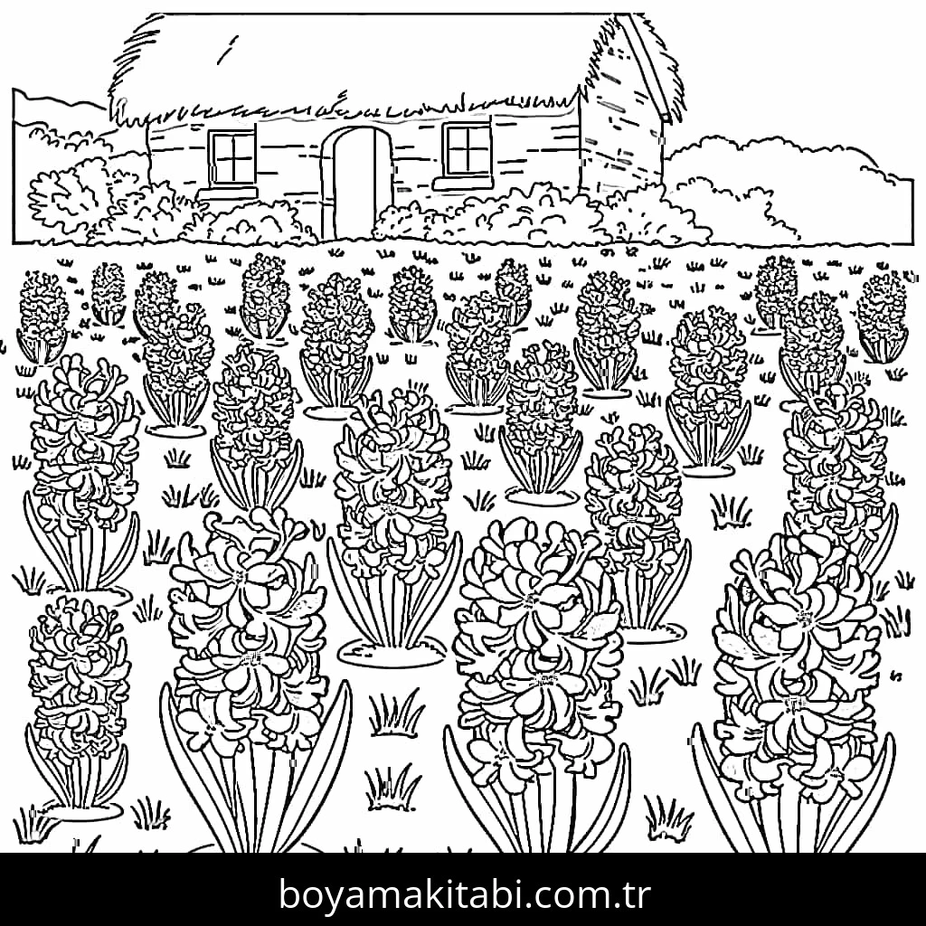 Sümbül boyama sayfası – keyifli zaman, renkli çizimler