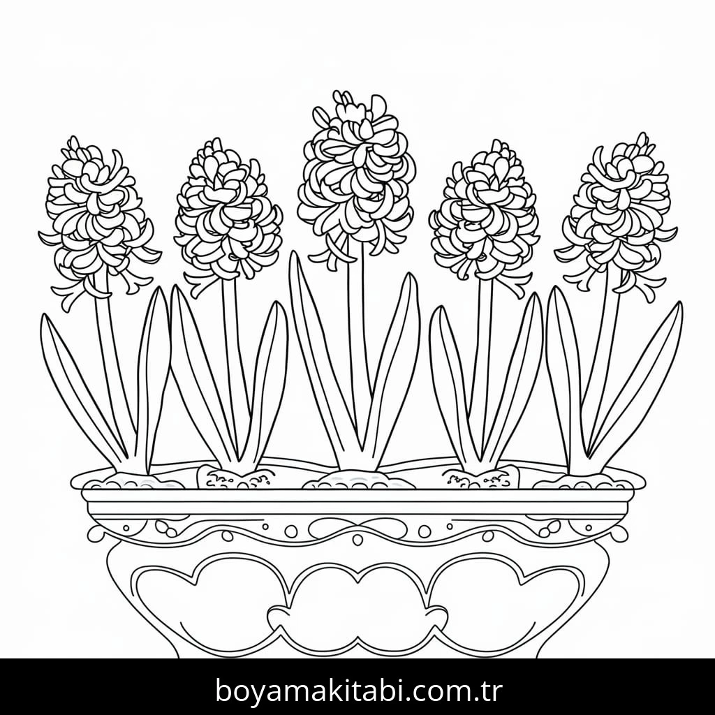 Sümbül boyama sayfası – kolay boyama, eğitici aktivite