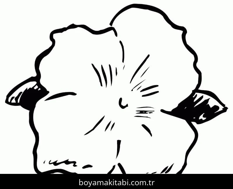 Ebegümeci boyama sayfası – okul öncesi, evde etkinlik