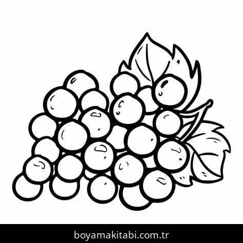 Üzümler boyama sayfası – renkli çizimler, okul öncesi
