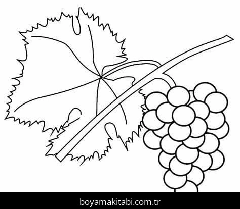 Üzümler boyama sayfası – sanatsal çalışma, çocuklar için