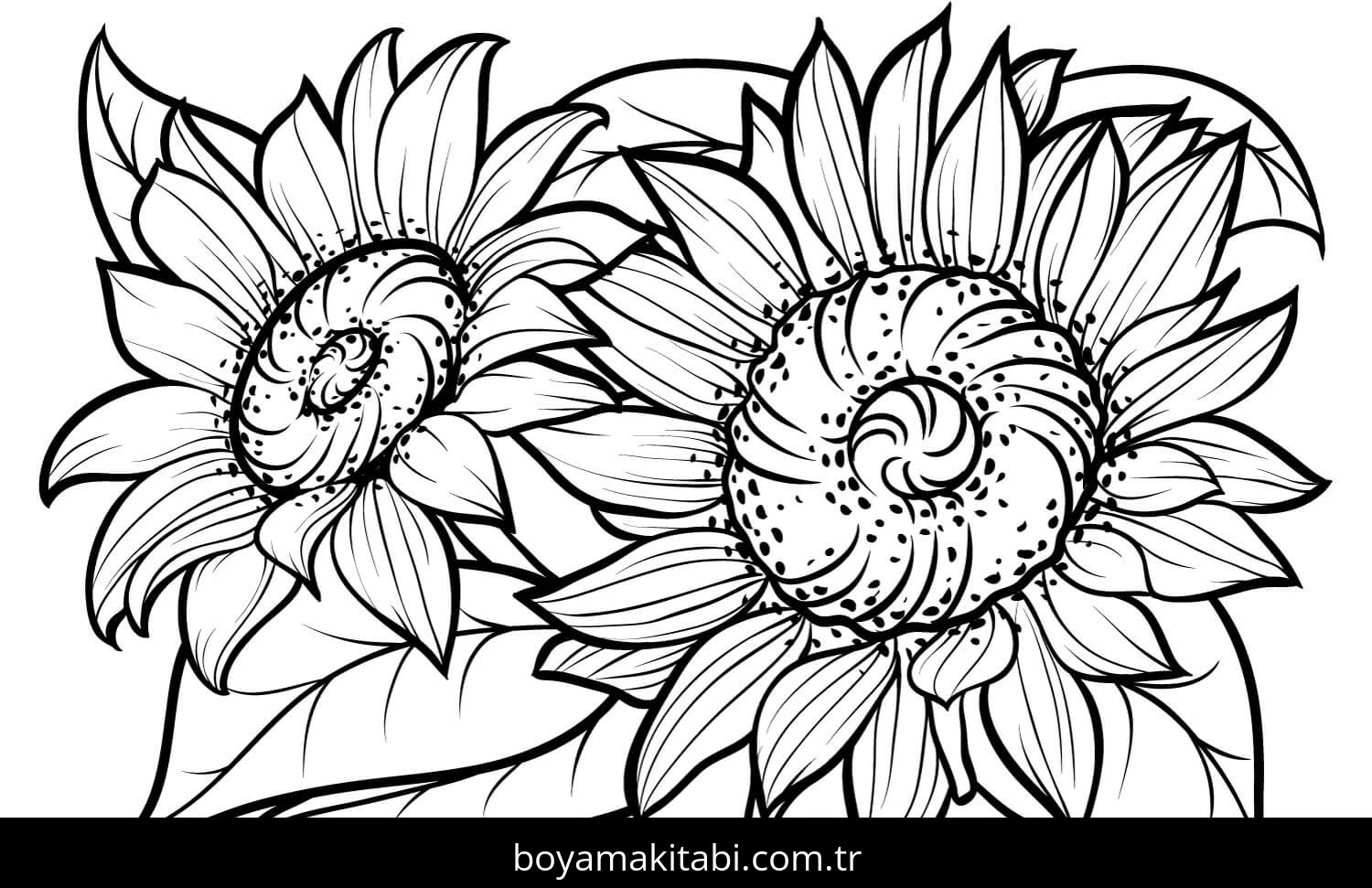 Ayçiçeği boyama sayfası #205 – kolay indirilebilir, eğlenceli öğrenme deneyimi