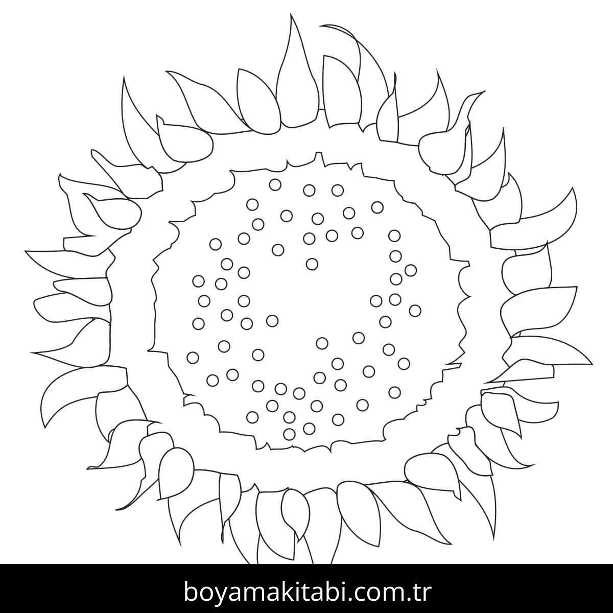 Ayçiçeği boyama sayfası #224 – el becerilerini geliştirir, boyama çalışması