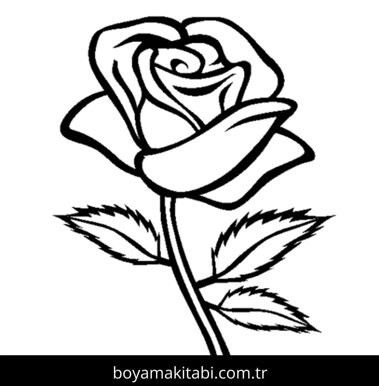Gül boyama sayfası – boyama etkinliği, çocuk aktivitesi