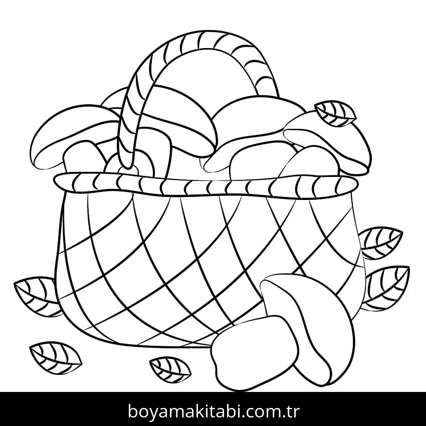 Mantar boyama sayfası – renkli çizimler, okul öncesi