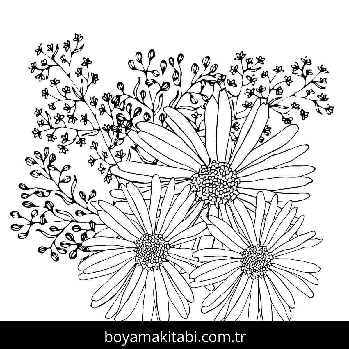 Çiçek boyama sayfası #529 – çocuk aktivitesi, ilkokul öğrencileri için