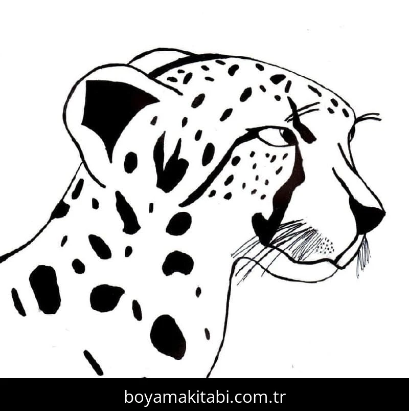 Çita boyama sayfası #54 – yaratıcılığı geliştirir, keyifli zaman