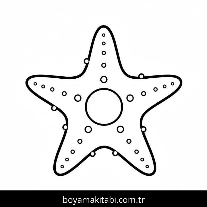 Deniz Yıldızı boyama sayfası – renkli çizimler, okul öncesi