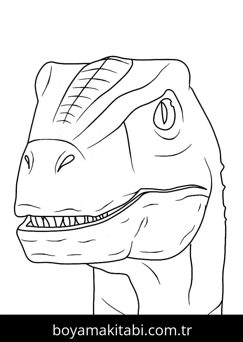 Jurassic Park Boyama