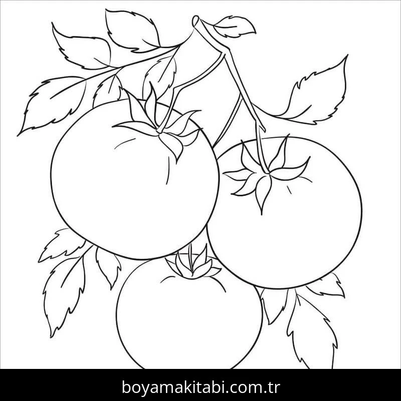 Domates Boyama