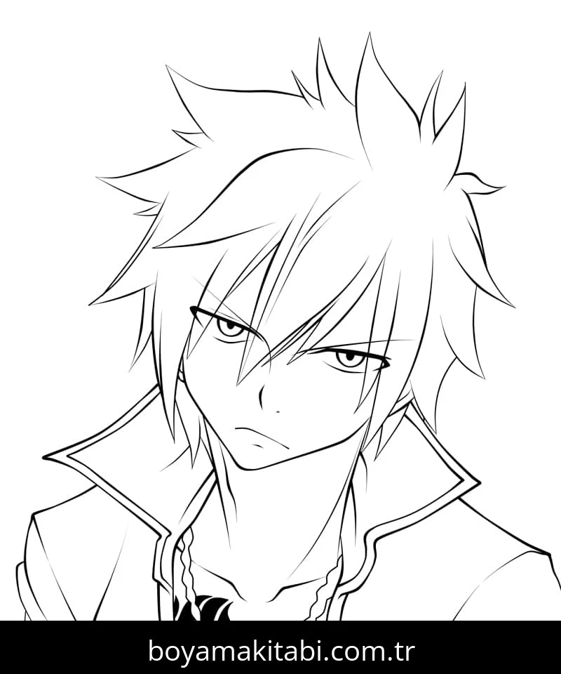 Fairy Tail Boyama