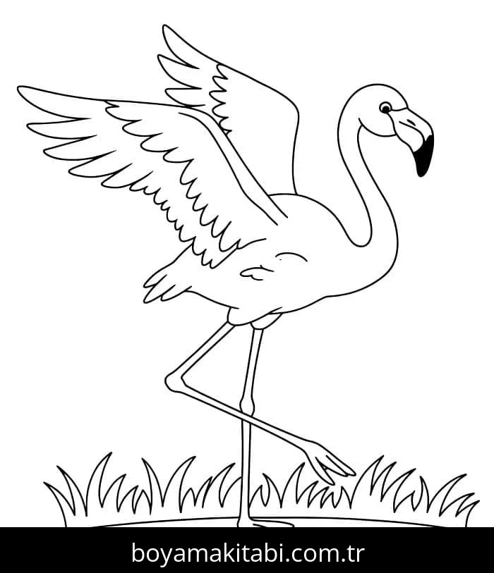 Flamingo boyama sayfası – renkli çizimler, okul öncesi