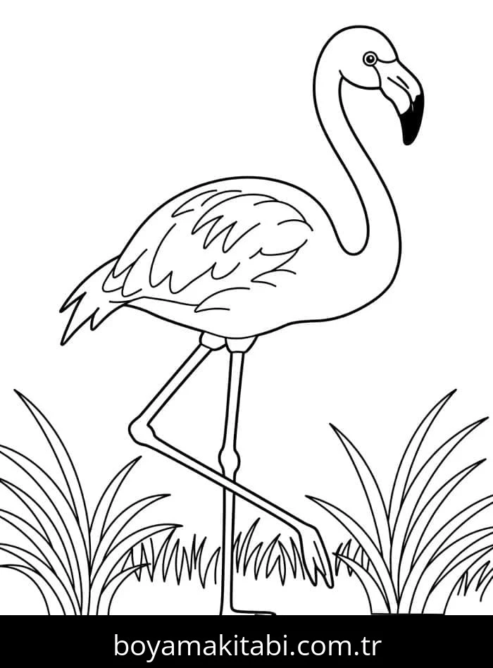 Flamingo boyama sayfası – yaratıcılığı geliştirir, keyifli zaman