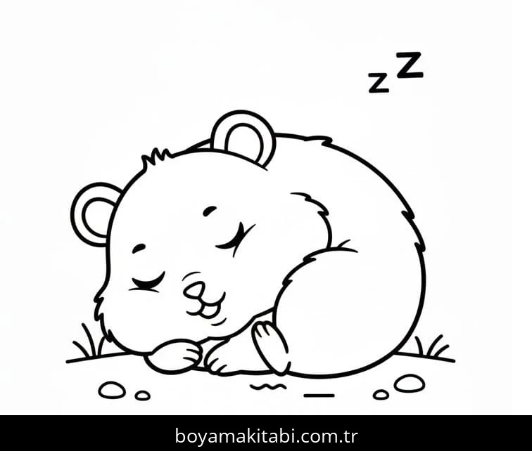 Hamster boyama sayfası – evde etkinlik, ücretsiz yazdır