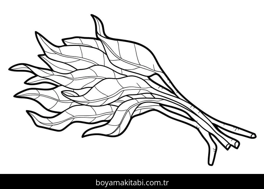 Ispanak boyama sayfası – kolay boyama, eğitici aktivite