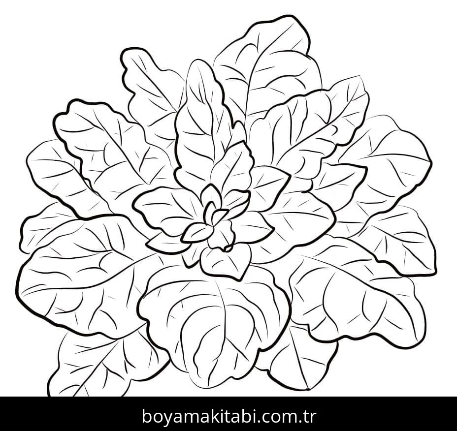 Ispanak boyama sayfası – el becerilerini geliştirir, boyama çalışması