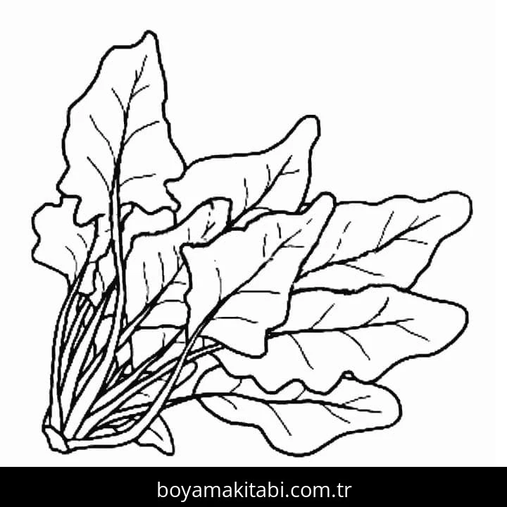 Ispanak boyama sayfası – yaratıcılık, eğlenceli etkinlik