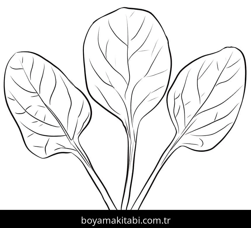 Ispanak boyama sayfası – PDF indir, sevimli karakter