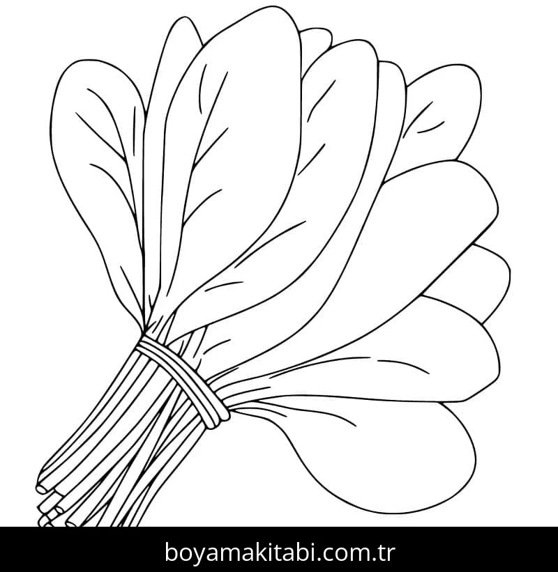 Ispanak boyama sayfası – eğlenceli etkinlik, el becerilerini geliştirir