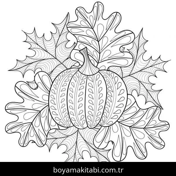 Kabak boyama sayfası – renkli çizimler, okul öncesi