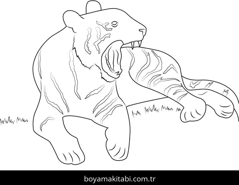 Kaplan boyama sayfası – yaratıcılık, eğlenceli etkinlik