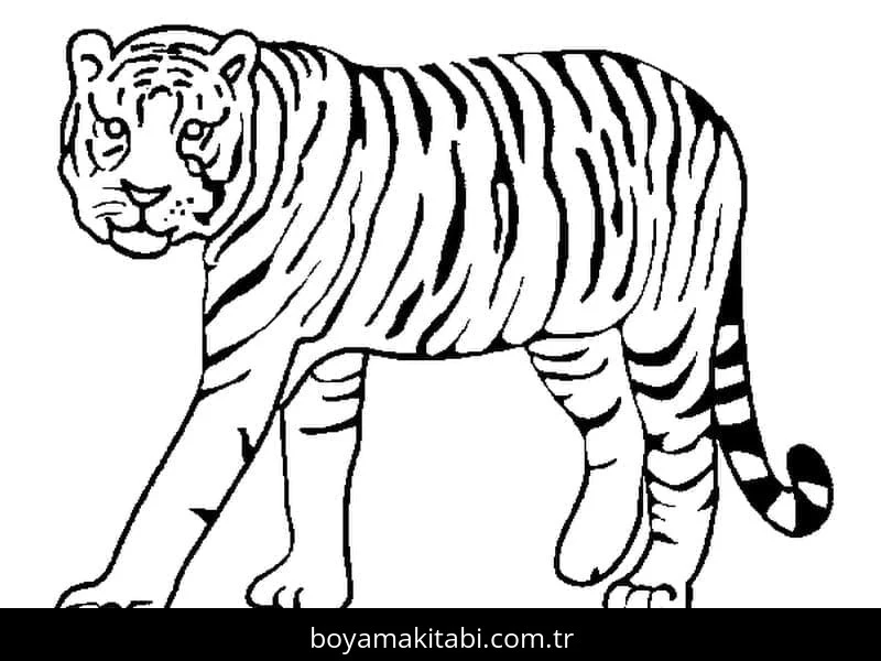 Kaplan boyama sayfası – çizgi film temalı, basit çizim