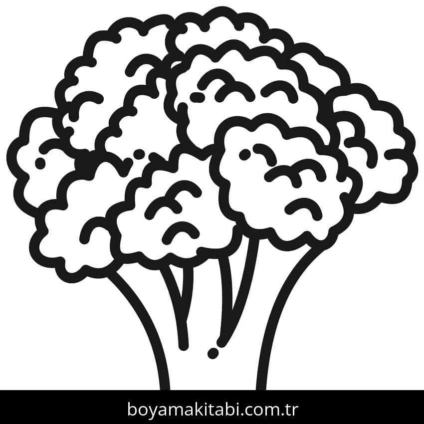 Karnabahar boyama sayfası – kolay boyama, eğitici aktivite