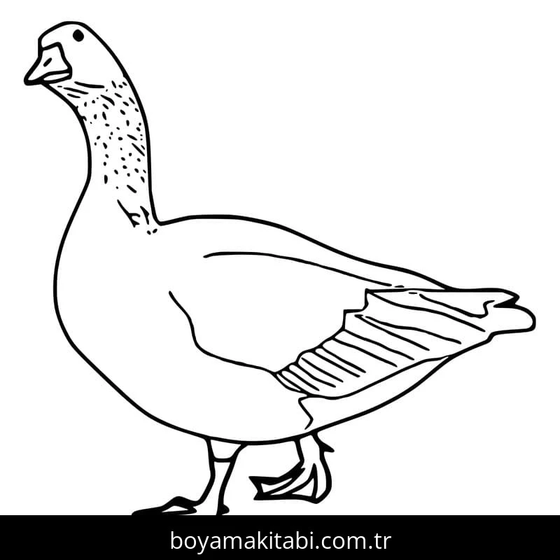 Kaz boyama sayfası – keyifli zaman, renkli çizimler
