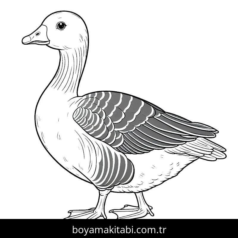 Kaz boyama sayfası – el becerilerini geliştirir, boyama çalışması