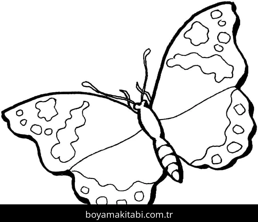 Kelebek boyama sayfası – ücretsiz yazdır, boyama etkinliği