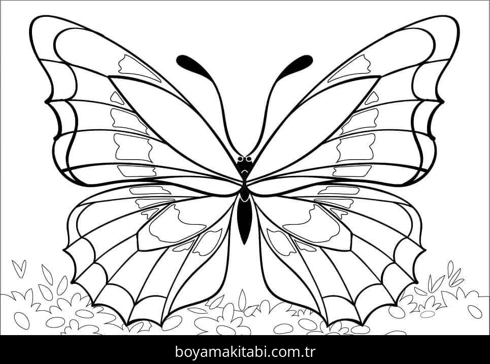 Kelebek boyama sayfası – yaratıcılık, eğlenceli etkinlik