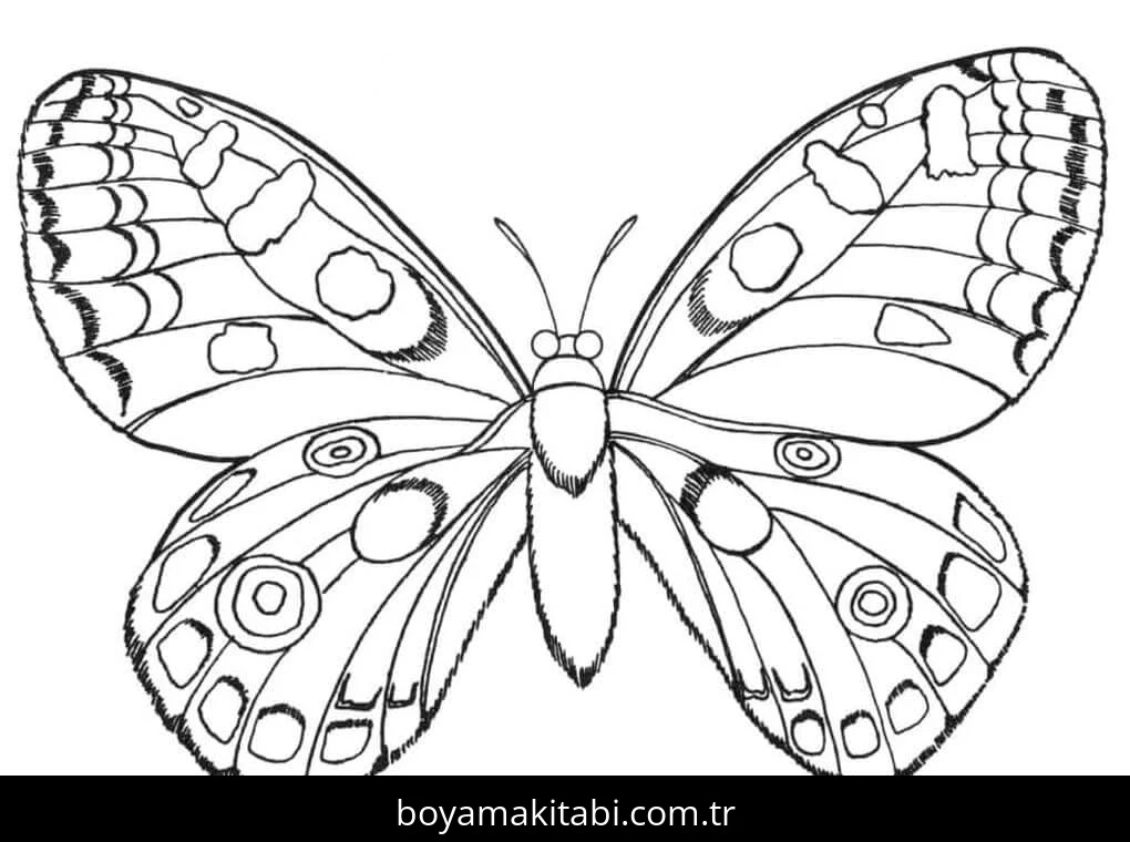 Kelebek boyama sayfası – keyifli zaman, renkli çizimler