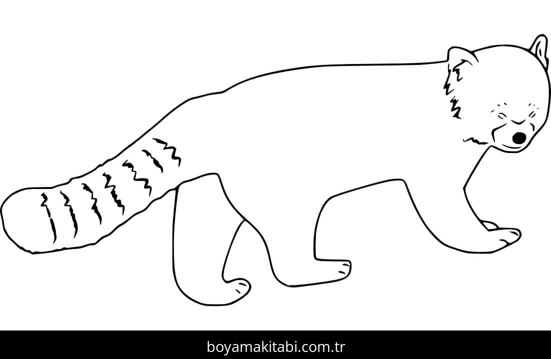 Kırmızı Panda boyama sayfası – basit çizim, kolay boyama