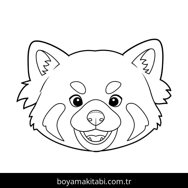 Kırmızı Panda boyama sayfası – sevimli karakter, sanatsal çalışma