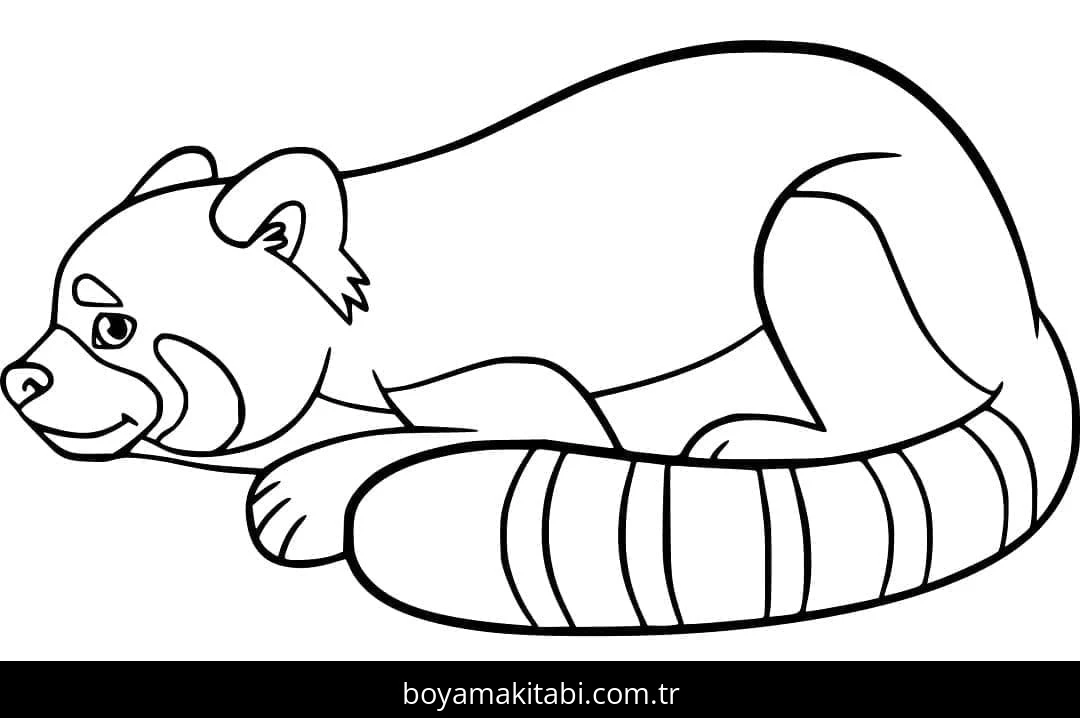 Kırmızı Panda boyama sayfası – çizgi film temalı, basit çizim
