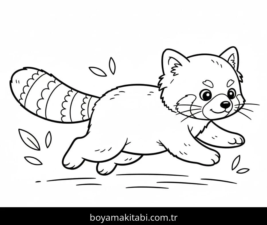 Kırmızı Panda boyama sayfası – eğitici aktivite, yaratıcılık