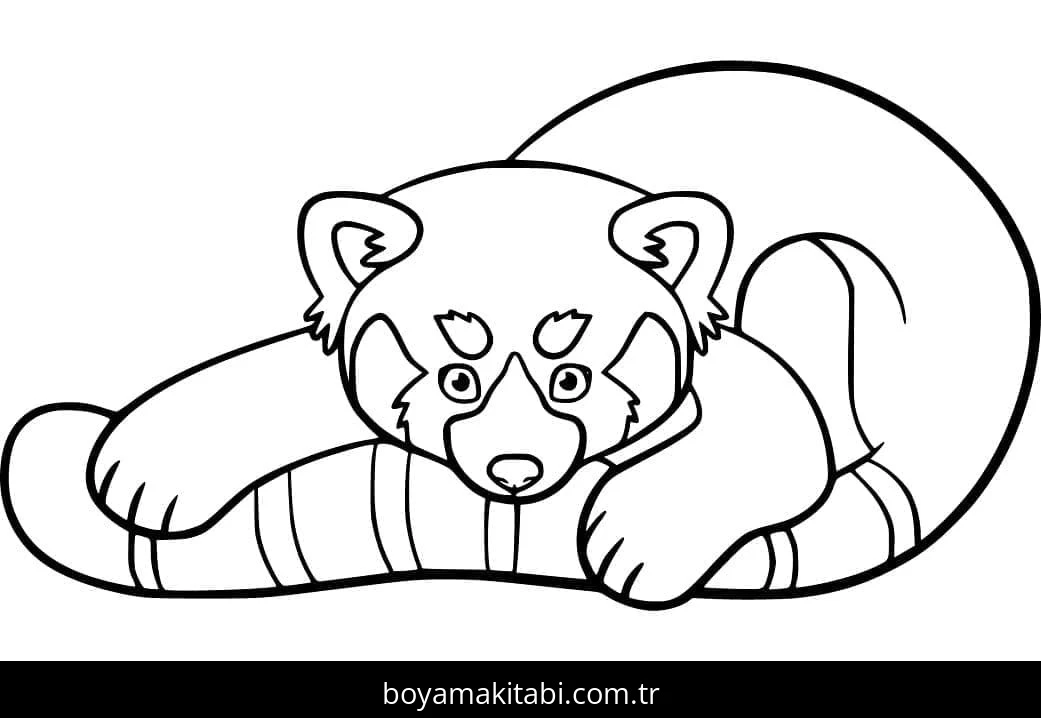 Kırmızı Panda boyama sayfası – basit çizim, kolay boyama