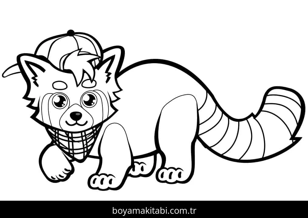 Kırmızı Panda boyama sayfası – okul öncesi, evde etkinlik