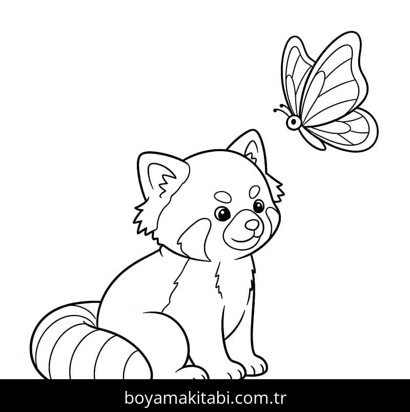 Kırmızı Panda boyama sayfası – sanatsal çalışma, çocuklar için
