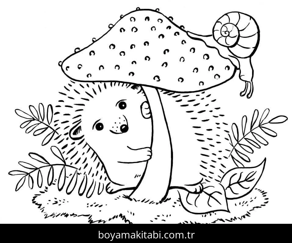 Kirpi Boyama