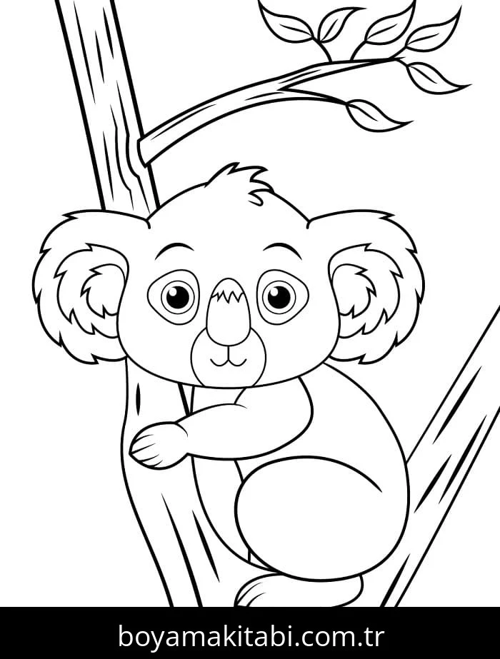 Koala boyama sayfası – çocuk aktivitesi, PDF indir