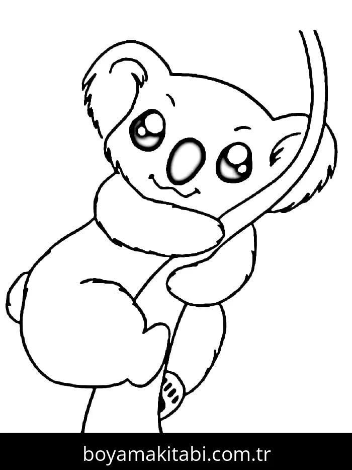 Koala boyama sayfası – ücretsiz yazdır, boyama etkinliği