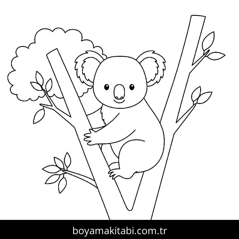 Koala boyama sayfası – çocuklar için, çizgi film temalı