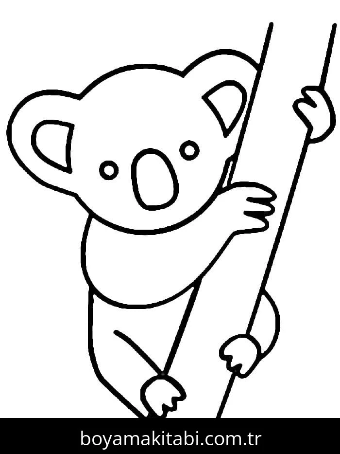 Koala boyama sayfası – keyifli zaman, renkli çizimler