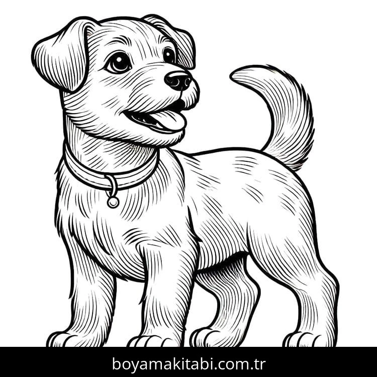 Köpek boyama sayfası #706 – çocuk aktivitesi, ilkokul öğrencileri için