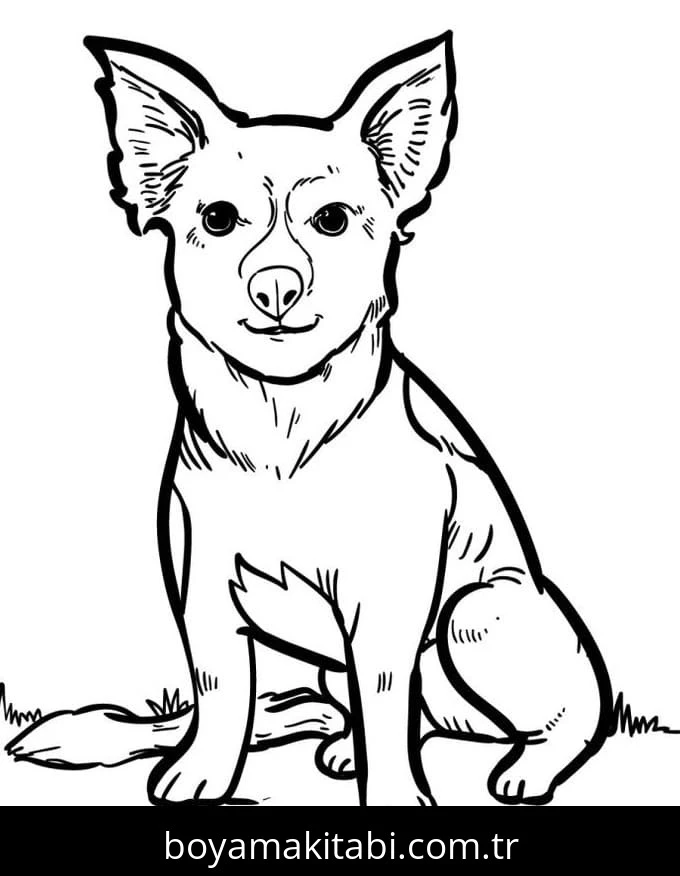Köpek boyama sayfası #717 – sınıf etkinliği, kolay indirilebilir
