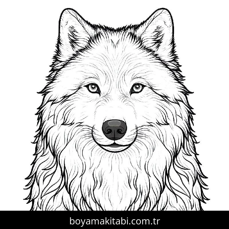 Kurt boyama sayfası – kolay boyama, eğitici aktivite